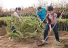 Cina: il 12 marzo ricorre Giornata nazionale di piantumazione degli alberi (1)