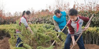 Cina: il 12 marzo ricorre Giornata nazionale di piantumazione degli alberi (1)