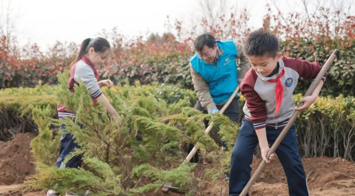 Cina: il 12 marzo ricorre Giornata nazionale di piantumazione degli alberi (1)