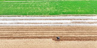 Cina: Shandong, in corso l’aratura per le coltivazioni primaverili (2)