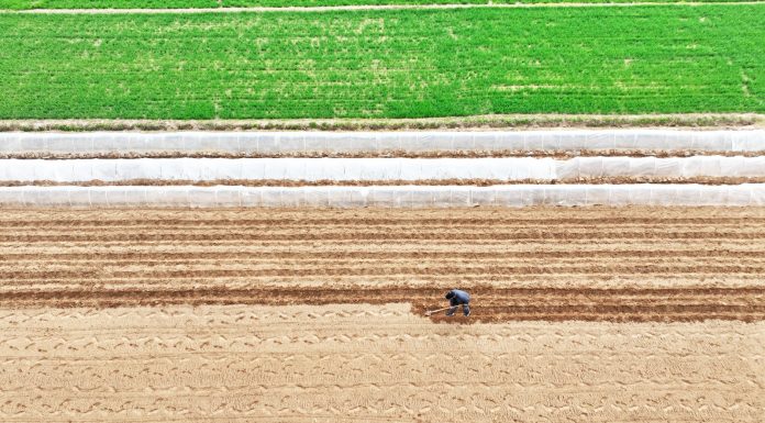Cina: Shandong, in corso l’aratura per le coltivazioni primaverili (2)