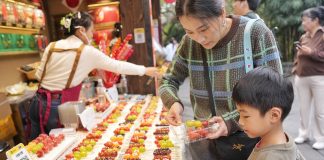 Cina: a Chengdu in corso la fiera presso il Tempio di Wuhou (3)