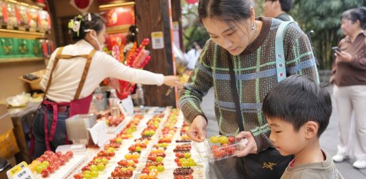 Cina: a Chengdu in corso la fiera presso il Tempio di Wuhou (3)
