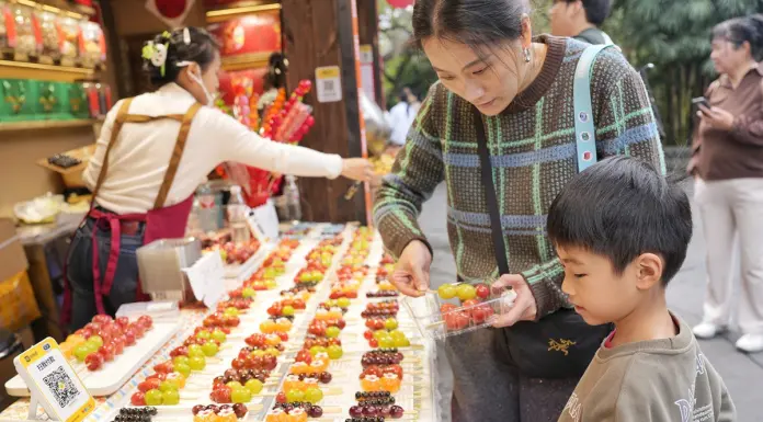 Cina: a Chengdu in corso la fiera presso il Tempio di Wuhou (3)