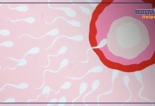 Fertilità femminile, le tecniche mediche che permettono di preservarla