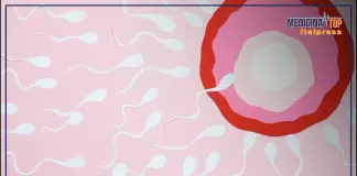 Fertilità femminile, le tecniche mediche che permettono di preservarla