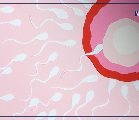 Fertilità femminile, le tecniche mediche che permettono di preservarla