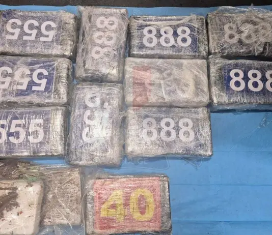 Malta, due italiani tra i 4 arrestati per l’importazione di un carico di cocaina da 600 mila euro
