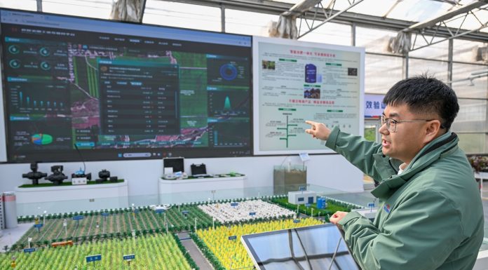 Cina: Xinjiang, in corso preparativi per lavori agricoli di primavera (1)