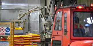 Cina: Xinjiang, in corso preparativi per lavori agricoli di primavera (2)