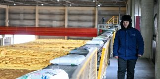 Cina: Xinjiang, in corso preparativi per lavori agricoli di primavera (3)