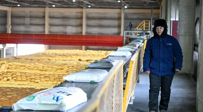 Cina: Xinjiang, in corso preparativi per lavori agricoli di primavera (3)