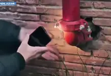 Roma, droga per lo spaccio nascosta tra contatori e muri dei seminterrati: sei pusher arrestati al Quarticciolo / Video