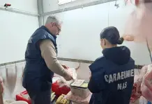 Palermo, sequestri e sanzioni dei Nas in una macelleria