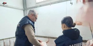 Palermo, sequestri e sanzioni dei Nas in una macelleria