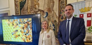 A Treviso la terza edizione della Giornata ecologica regionale 2026