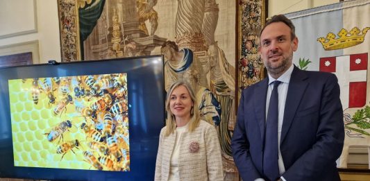 A Treviso la terza edizione della Giornata ecologica regionale 2026