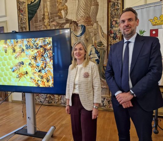 A Treviso la terza edizione della Giornata ecologica regionale 2026