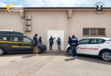 Sequestrati oltre 1200 chilogrammi di prodotti ittici in uno stabilimento della provincia di Cagliari