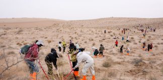 Cina: volontari piantano alberi per contrastare la desertificazione (1)