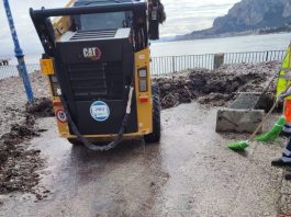 Al via la pulizia straordinaria del litorale di Mondello: rimozione della posidonia