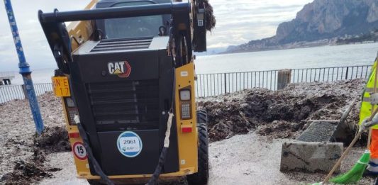 Al via la pulizia straordinaria del litorale di Mondello: rimozione della posidonia