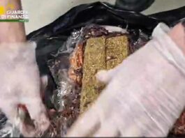 Dalla Spagna con 9 Kg di droga, arrestata 28enne nigeriana