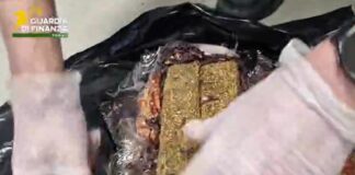 Dalla Spagna con 9 Kg di droga, arrestata 28enne nigeriana