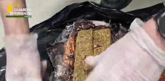 Dalla Spagna con 9 Kg di droga, arrestata 28enne nigeriana