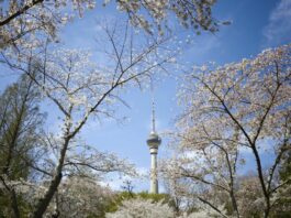 Pechino, quasi eliminate le giornate con livello “grave” di inquinamento