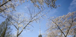 بكين تسجل انخفاضا قياسيا في أيام التلوث الشديد