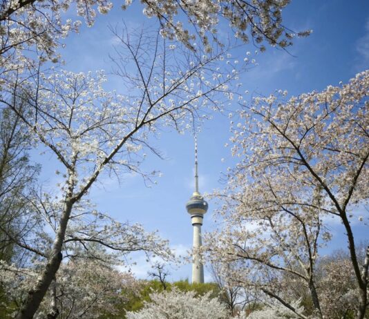 بكين تسجل انخفاضا قياسيا في أيام التلوث الشديد