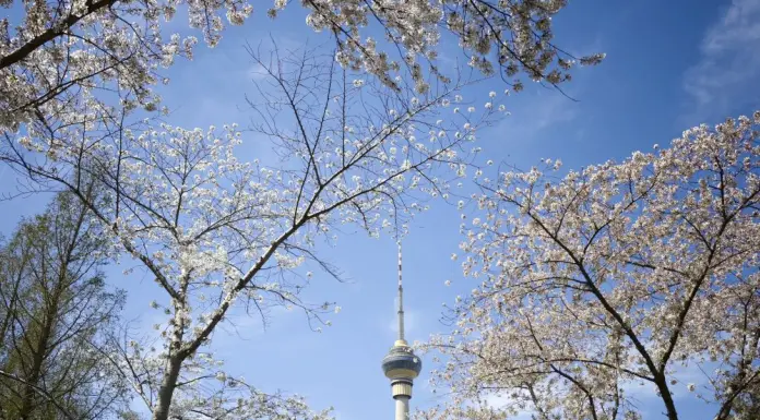 Pechino, quasi eliminate le giornate con livello “grave” di inquinamento