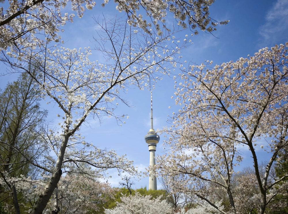 geronimo it natale-a-san-leo-tempo-di-ringraziamenti-per-il-sindaco-bindi-A10355 011