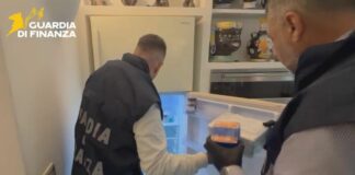 Droga nel frigo e sotto i cuscini, sequestrati 30 kg di stupefacenti nel pontino