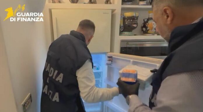 Droga nel frigo e sotto i cuscini, sequestrati 30 kg di stupefacenti nel pontino