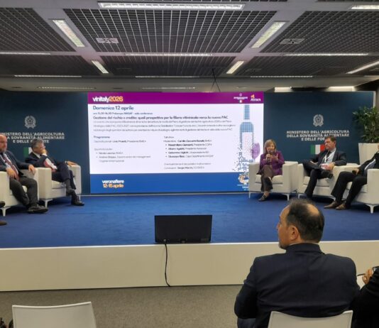 Ismea a Vinitaly: strategie, strumenti e prospettive per il vino italiano