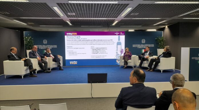 Ismea a Vinitaly: strategie, strumenti e prospettive per il vino italiano