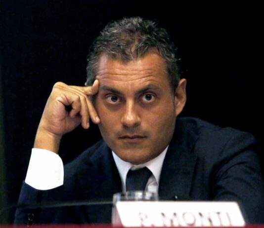 Terna, CDP indica Monti AD. In Enav ricavi record e sviluppo internazionale