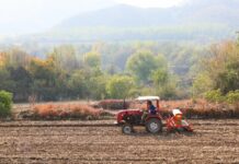 Cina, produzione di cereali in crescita anche nel 2026 secondo le previsioni
