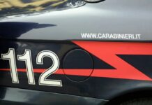 Blitz antimafia a Niscemi, 35 arresti e aziende sequestrate per 6 milioni