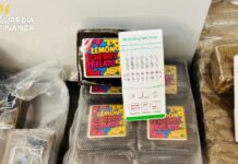 Droga tra Caltanissetta e Agrigento, sequestrati 23 kg di hashish e marijua