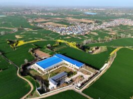 Cina, le industrie legate alle zone rurali in crescita nel primo trimestre