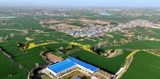 Cina, le industrie legate alle zone rurali in crescita nel primo trimestre