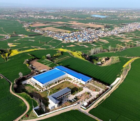 Cina, le industrie legate alle zone rurali in crescita nel primo trimestre