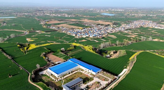 Cina, le industrie legate alle zone rurali in crescita nel primo trimestre