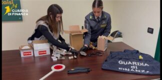 Palermo, sequestrati 17 reperti fossili risalenti a 50 milioni di anni fa