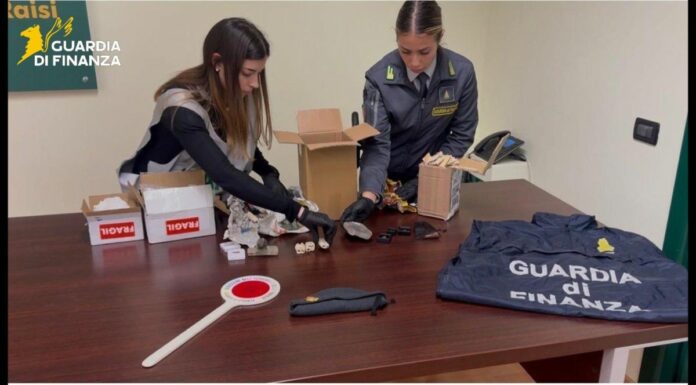 Palermo, sequestrati 17 reperti fossili risalenti a 50 milioni di anni fa