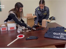 Palermo, sequestrati 17 reperti fossili risalenti a 50 milioni di anni fa / Video