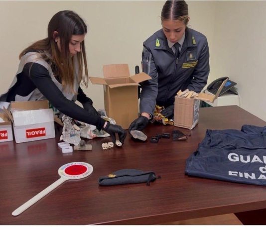 Palermo, sequestrati 17 reperti fossili risalenti a 50 milioni di anni fa / Video